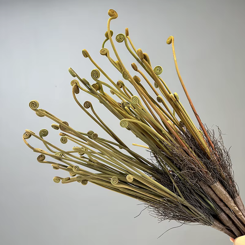 Nouvelles plantes artificielles de germes de fougère floquées pour la maison décor de Table de mariage fleur