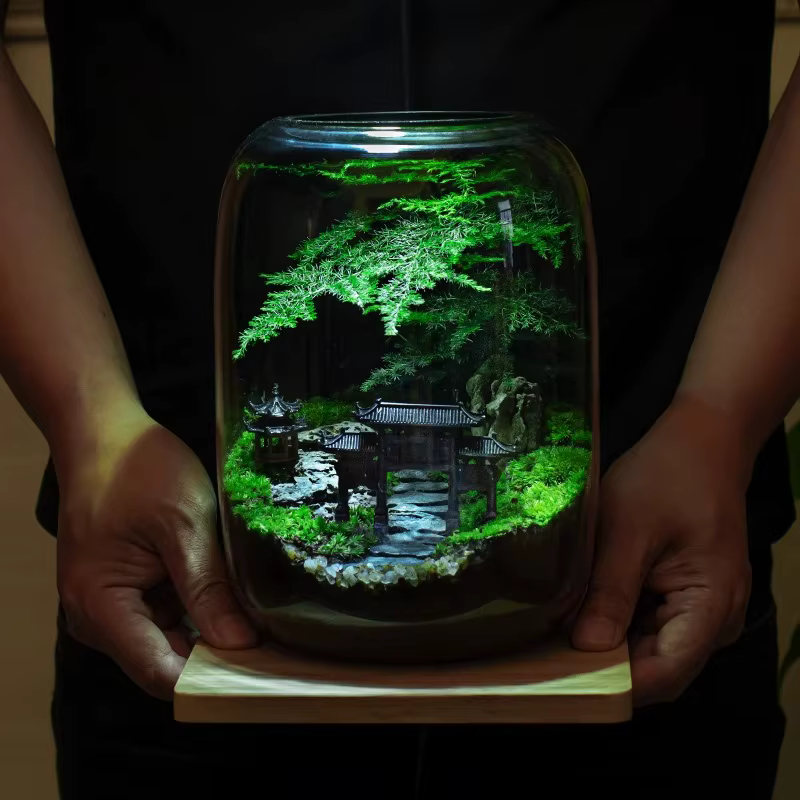 Kit de terrarium en fibre végétale de qualité supérieure avec conception de sol de style campagnard pour la maison ou
