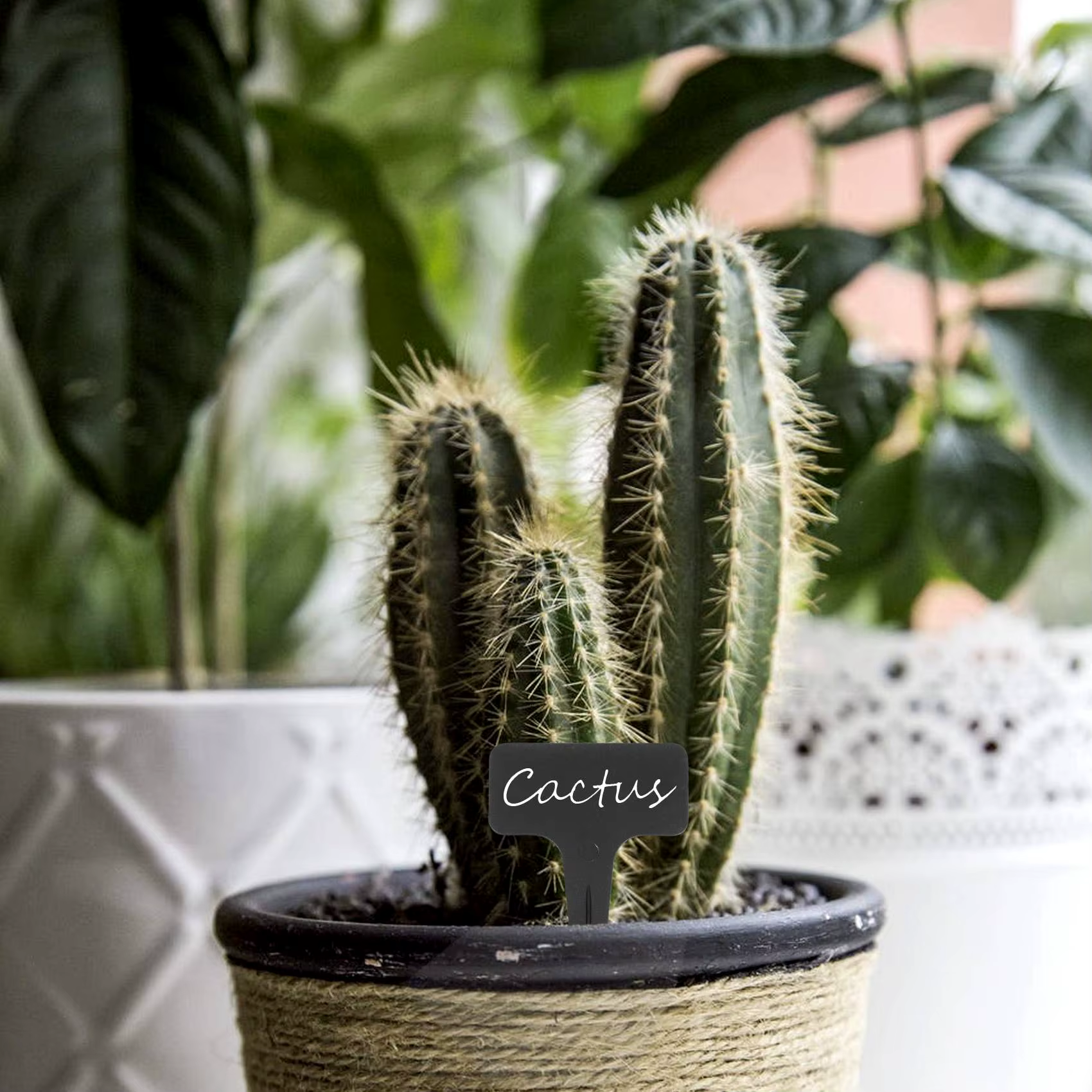 Marqueurs réutilisables pour plantes, 101 pièces/ensemble