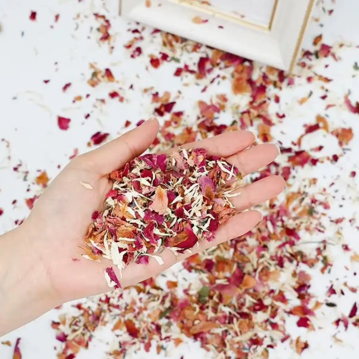 Pétale de fleur de Rose 100% naturel