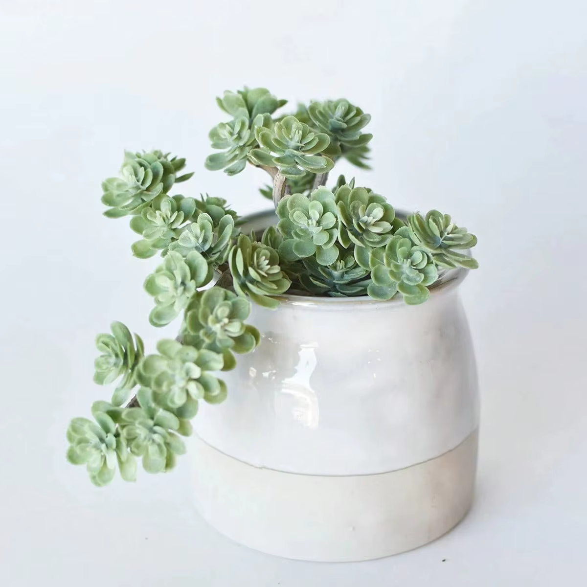 Succulentes artificielles à double face floquée