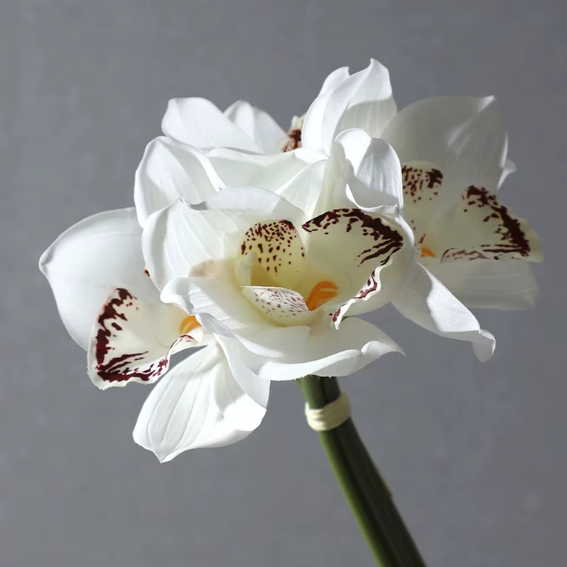 Bouquet de fleurs artificielles en soie Cymbidium 4 têtes sensation d'hydratation orchidée papillon décor de mariage de