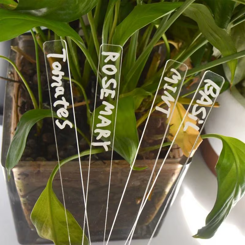 Étiquettes de plantes en acrylique 50 pièces