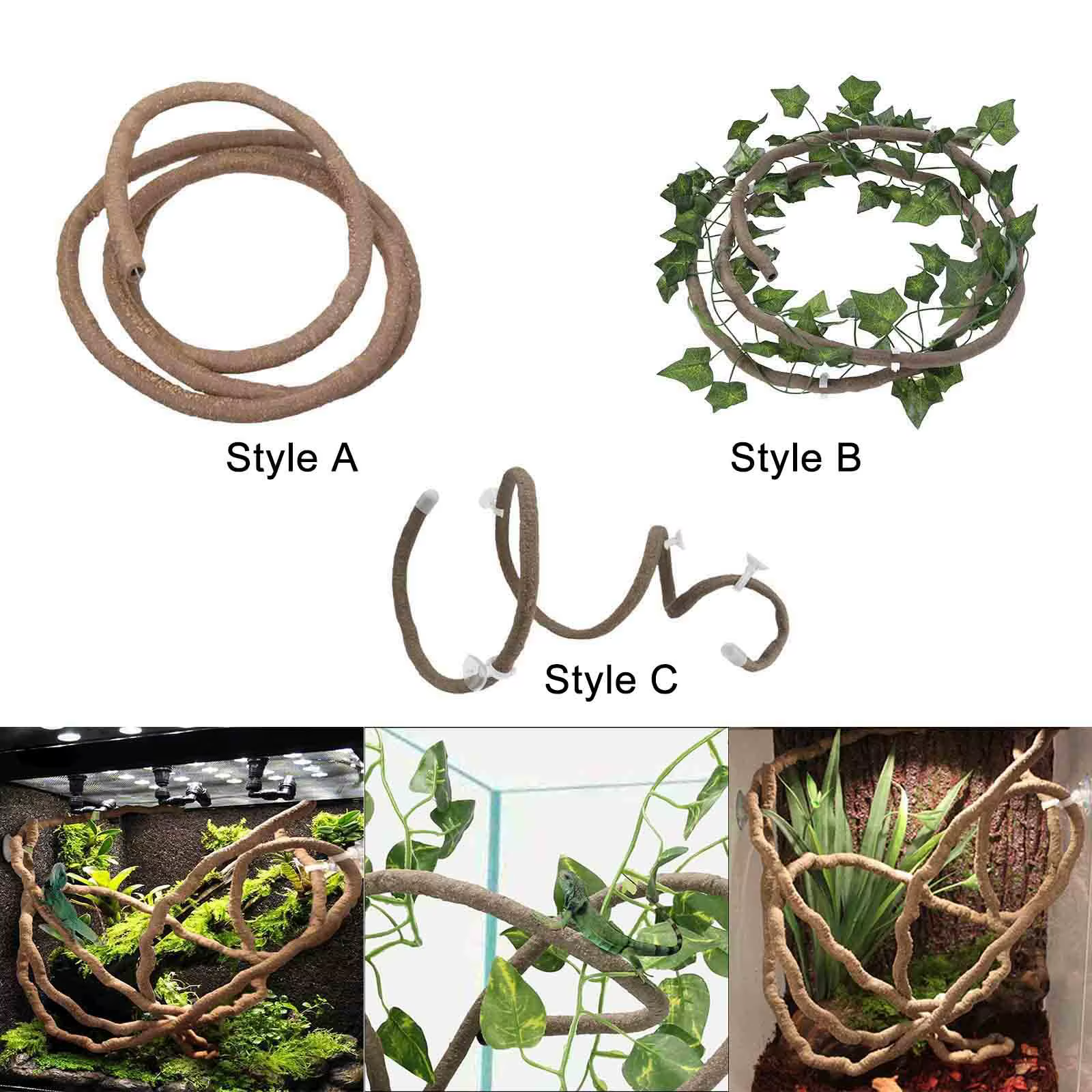 Terrarium Reptile vignes