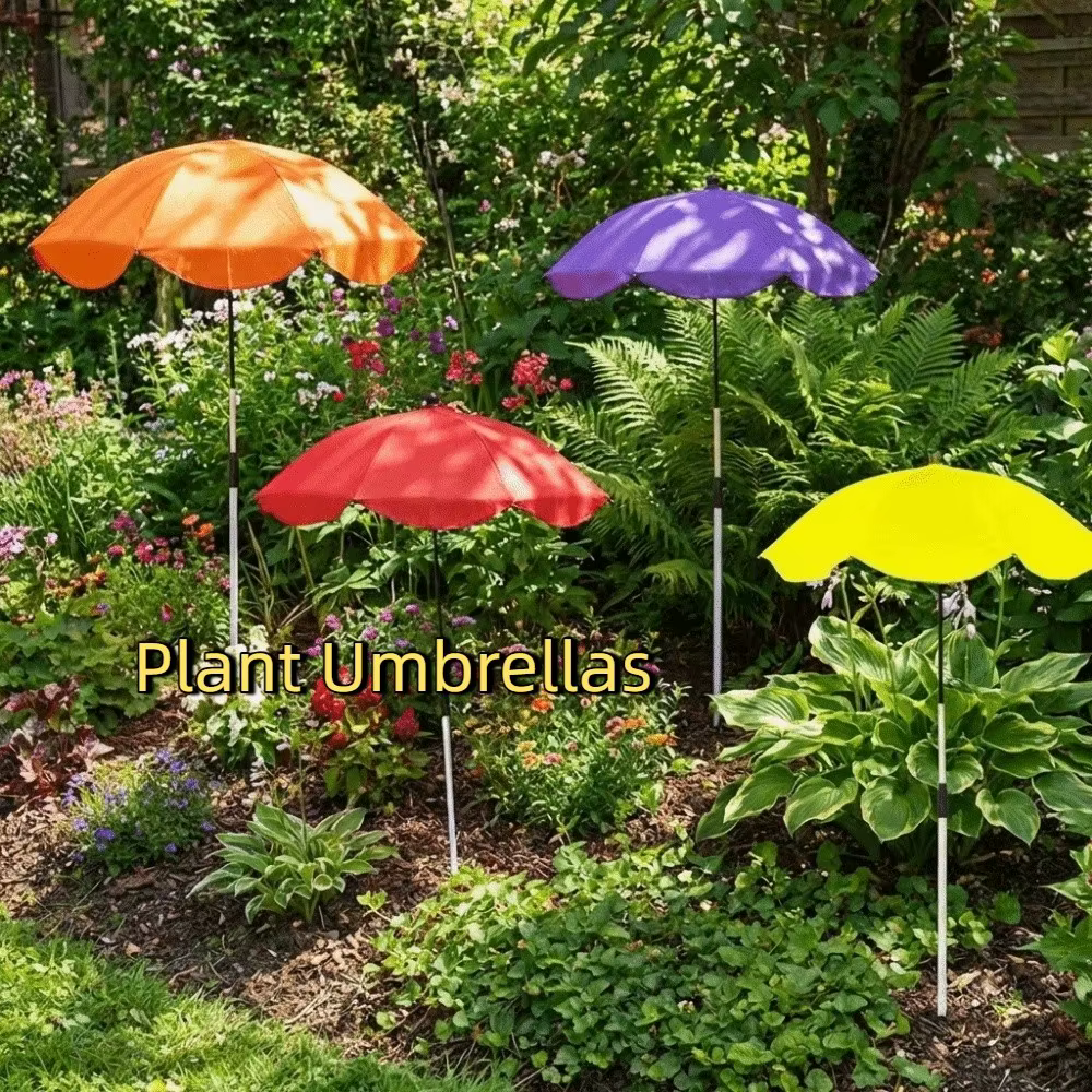 Parasols télescopiques pour plantes de 65 cm