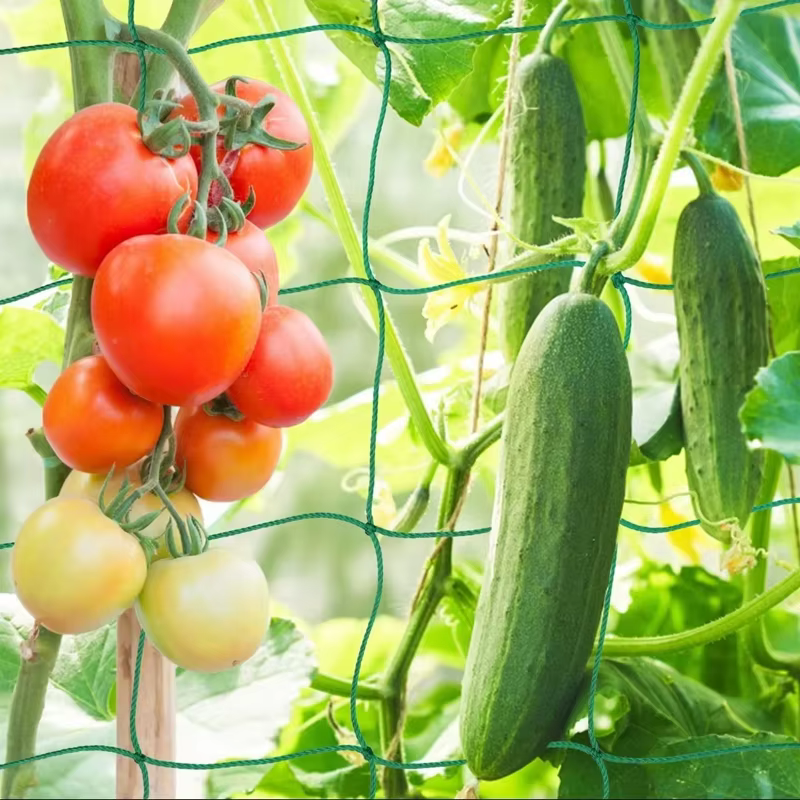 Nouvelle treillis de plantes robuste en polyester et nylon