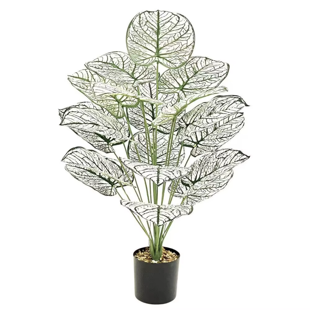 Plantes artificielles, feuille blanche et verte