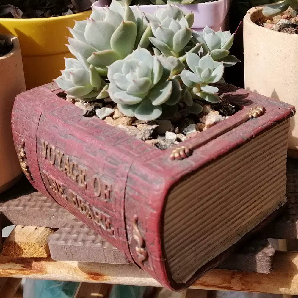 Pot à plantes succulentes en forme de livre