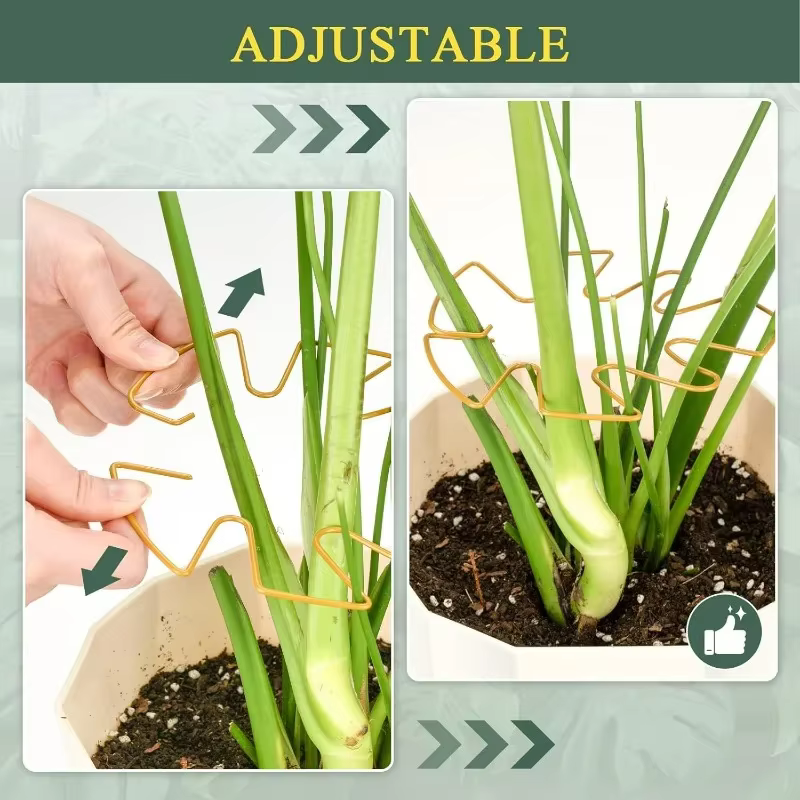 Monstera Support pour plantes