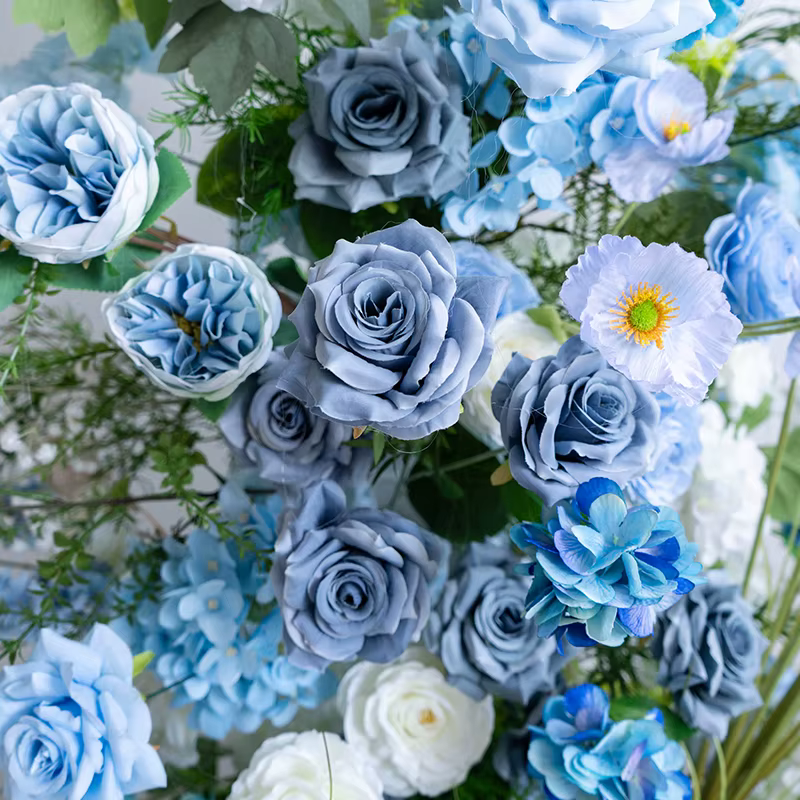 Mori Haze – vigne bleue verte