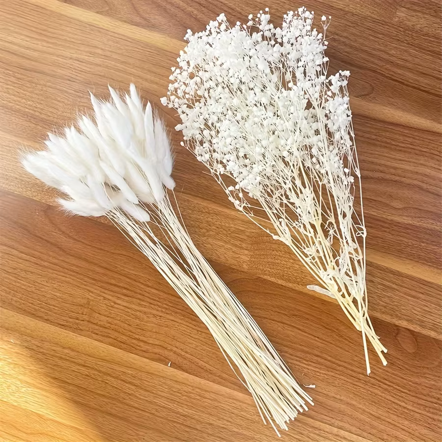 Bouquet de fleurs séchées blanches Gypsophila Boho Pampas