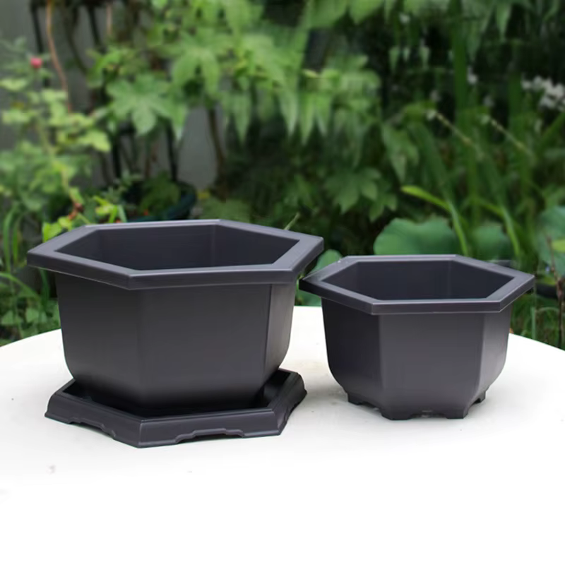 Pots à bonsaï ovales en plastique