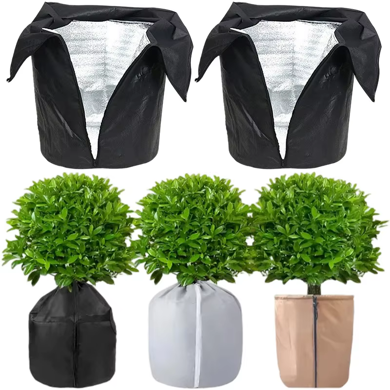 Couverture de plantes d'hiver