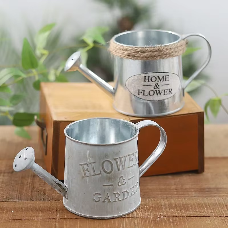 Petit arrosoir en fer, Pots seau en fer rétro pour fleurs