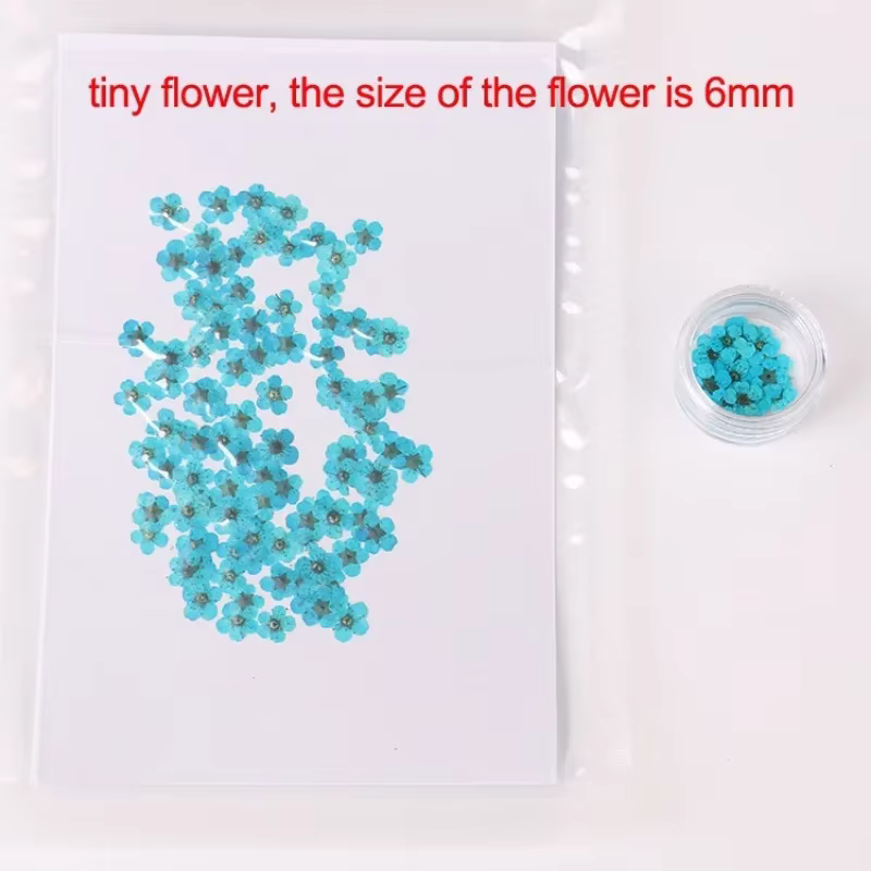 Ensemble de petites fleurs séchées Spirea pour décorations Nail Art