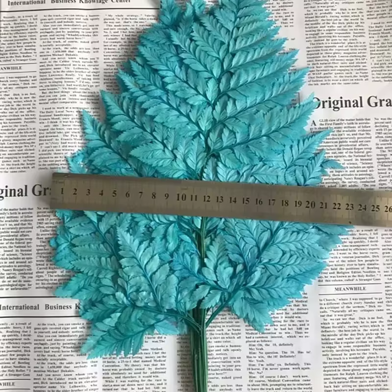 Feuille de fougère alpine