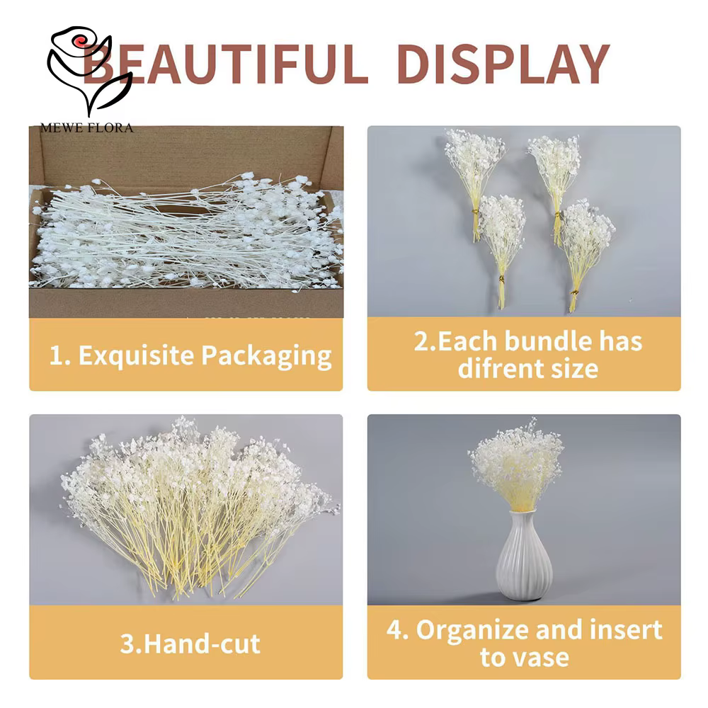 Lot de 50 mini-bouquets de fleurs séchées Gypsophile blanches