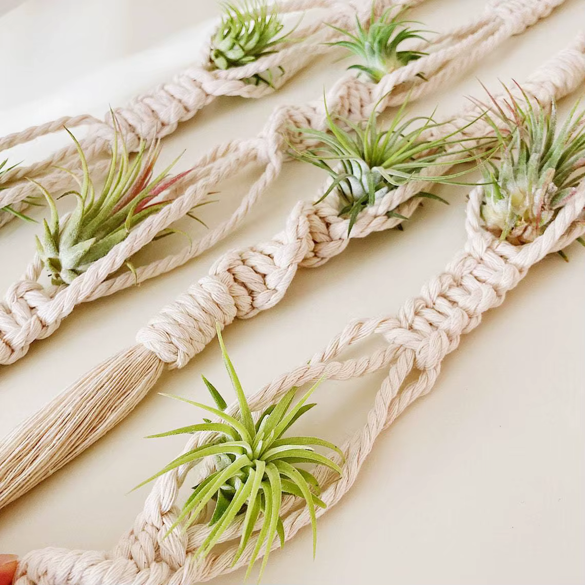 Cintre pour plantes à Air en macramé