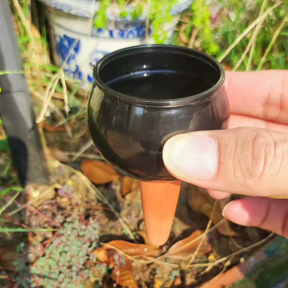 2 pièces Système d'irrigation automatique pour plantes