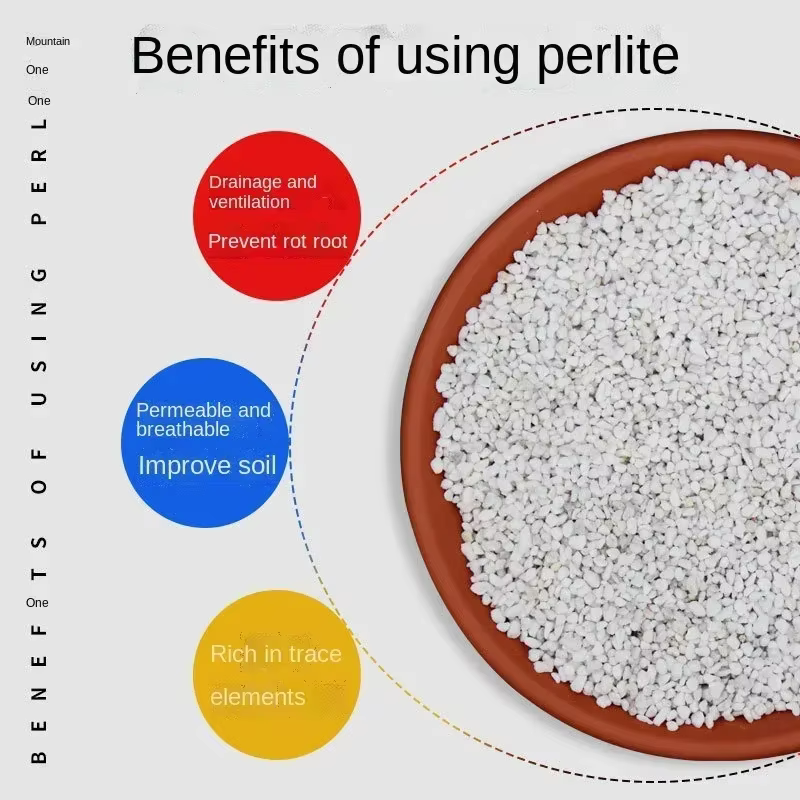 1L/2L Perlite granulés configurer sol nutritif plante pépinière respirant sol libre substrat pour jardin bonsaï