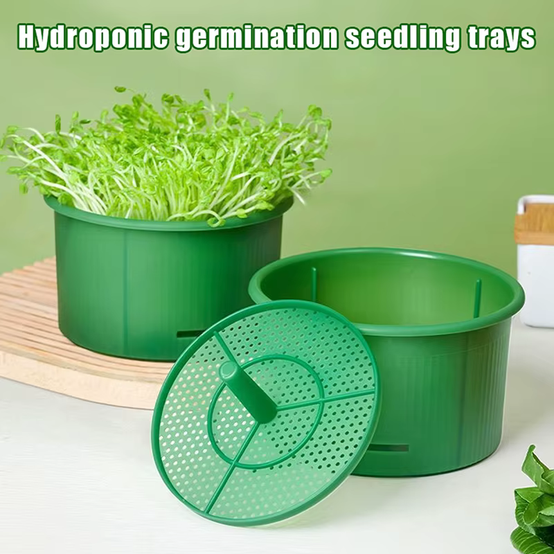 Bac de germination hydroponique