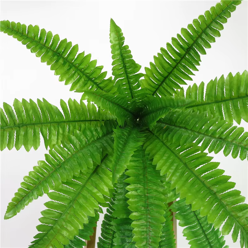 Plantes murales suspendues 73-115cm