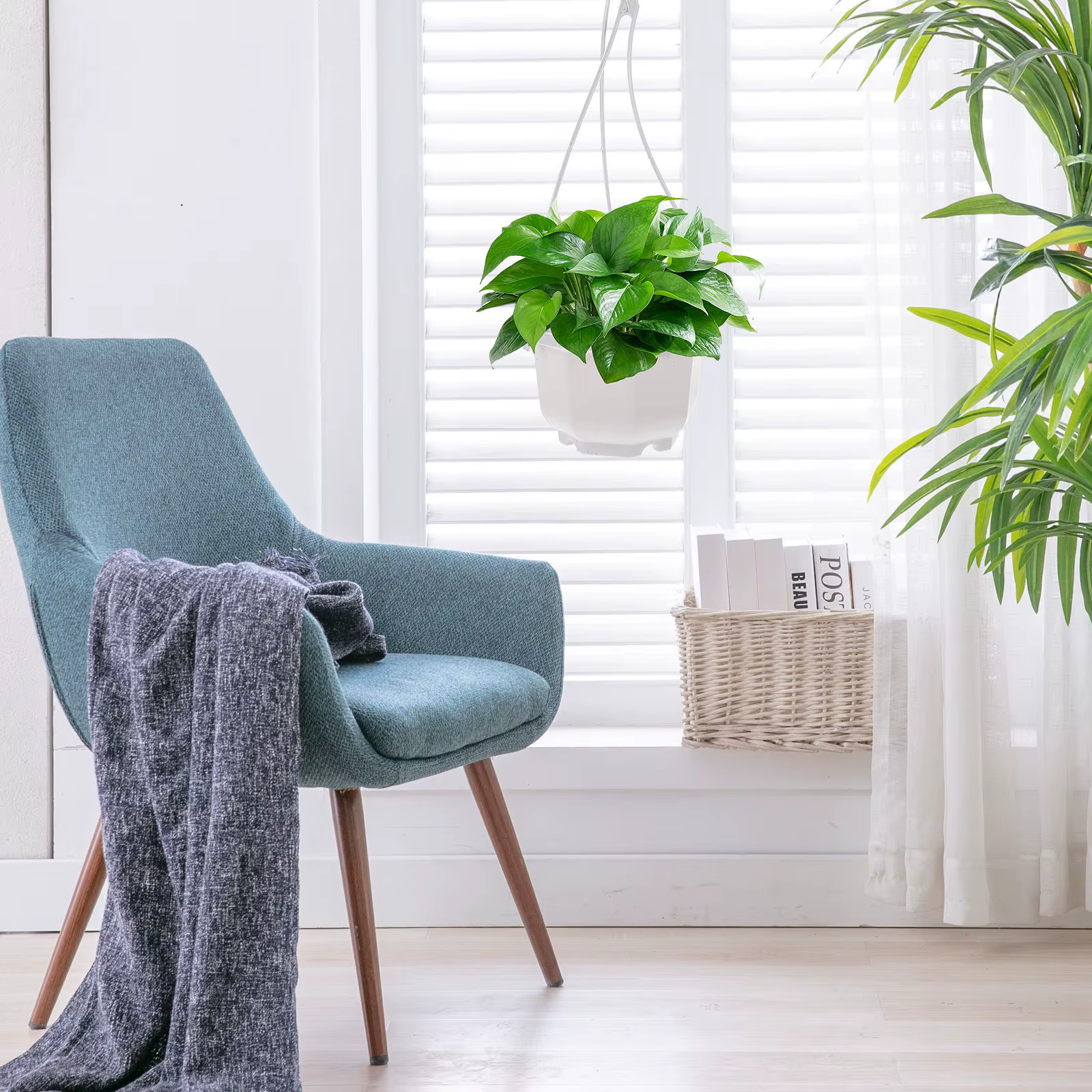 10 ensembles de pots de fleurs en plastique