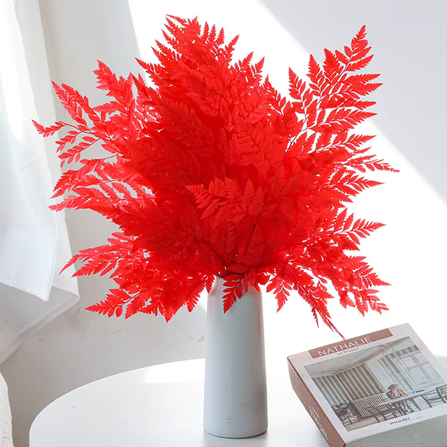 Fleurs de fougère naturelle pour la décoration intérieure
