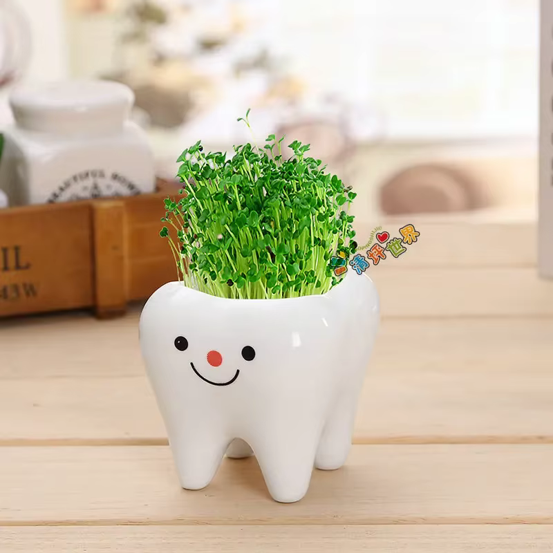 Mini pot de fleurs en céramique en forme de dent