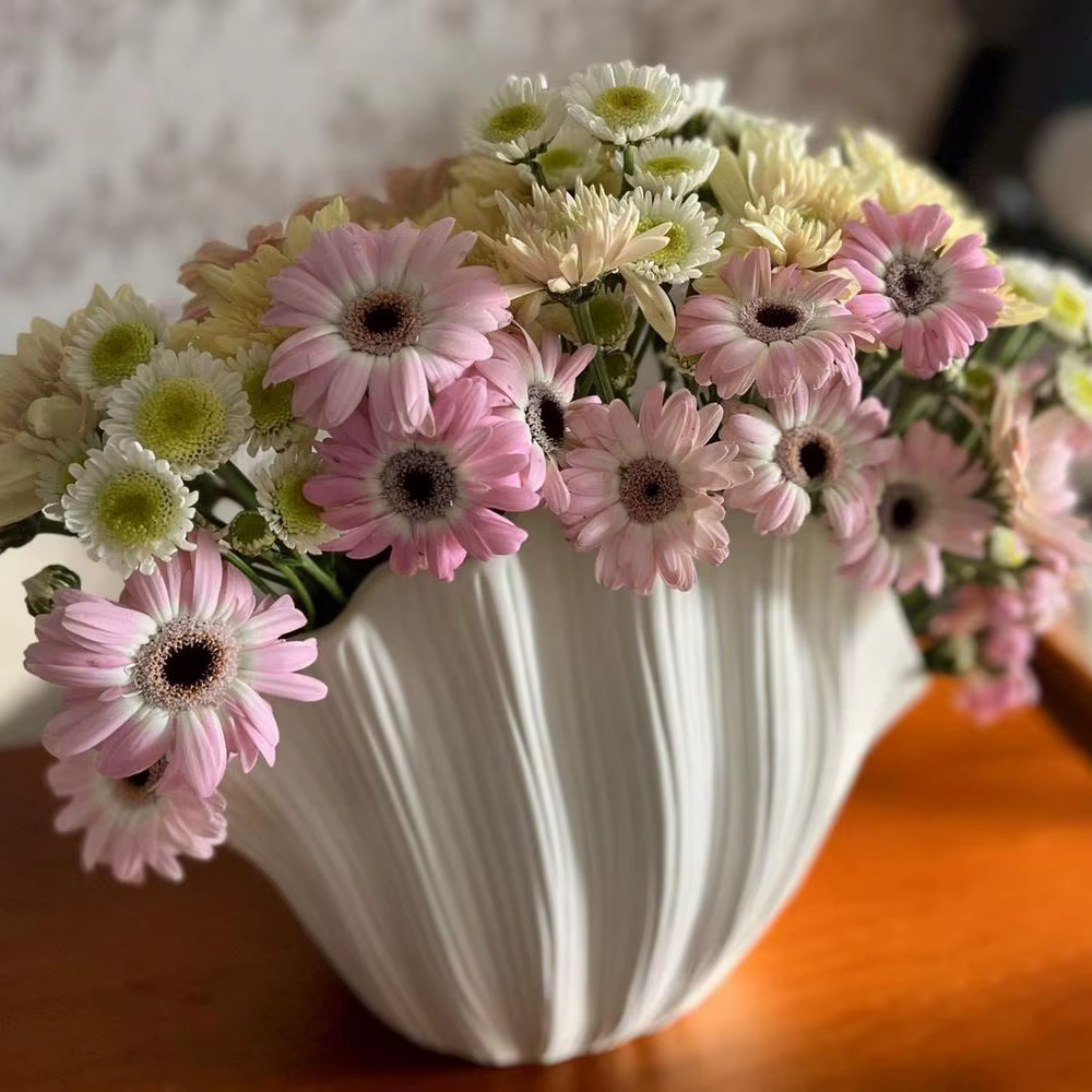 Vase en résine organique à coquille Simple