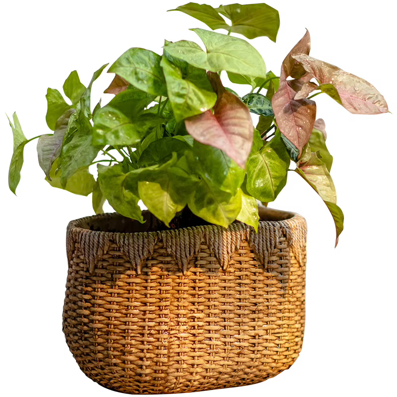 Pot de fleur en rotin tissé rustique