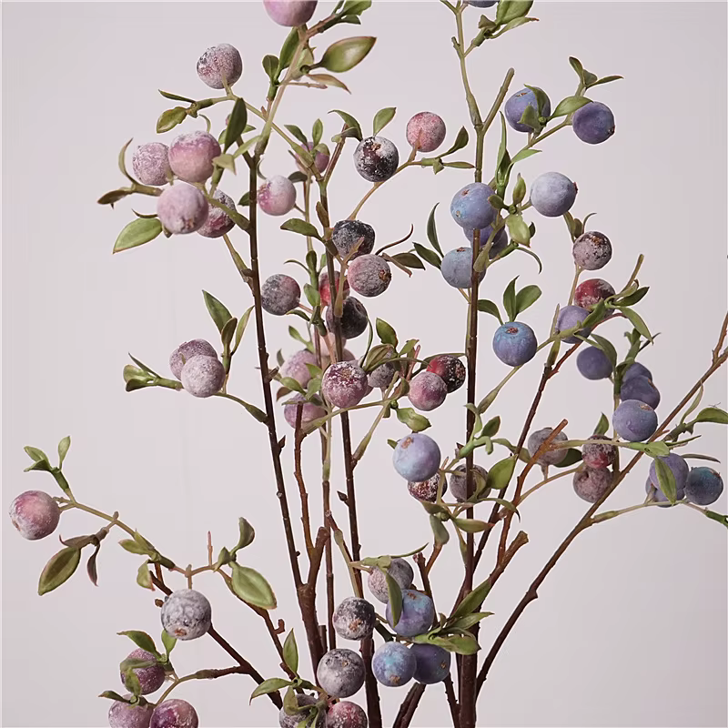 Ornements de fruits de jardinage
