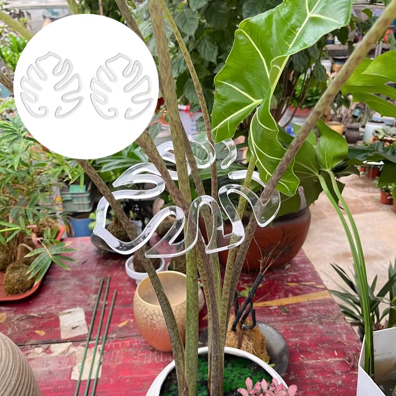 Support pour plantes en forme de Monstera