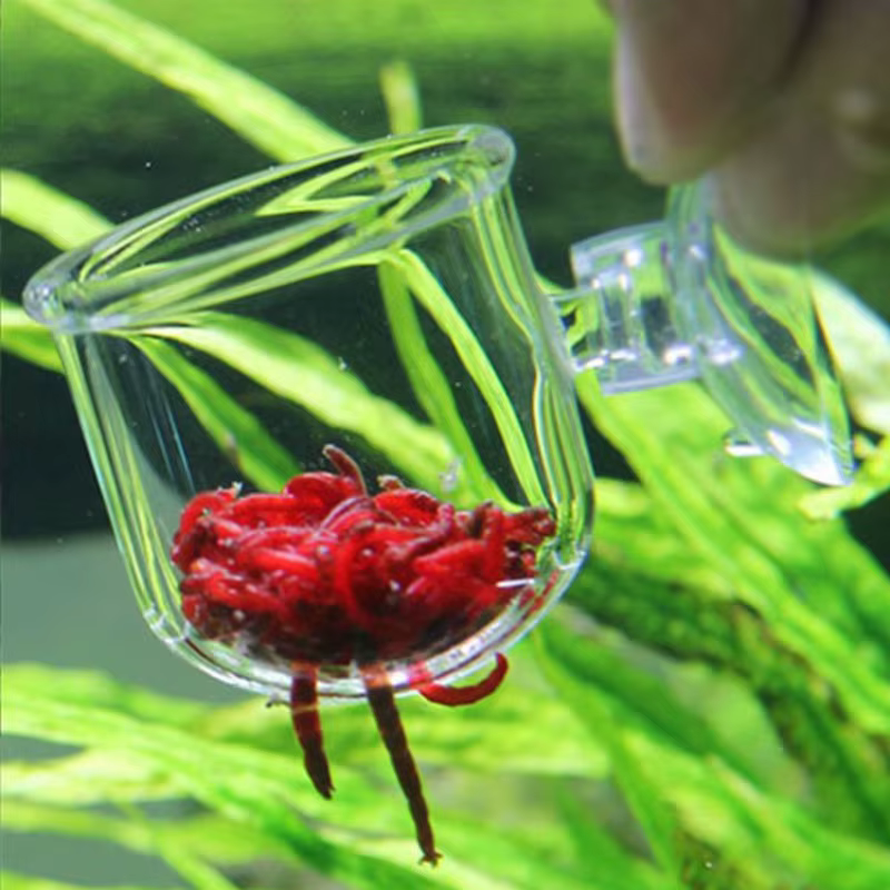 Mangeoire d'aquarium en verre suspendu pour Aquarium