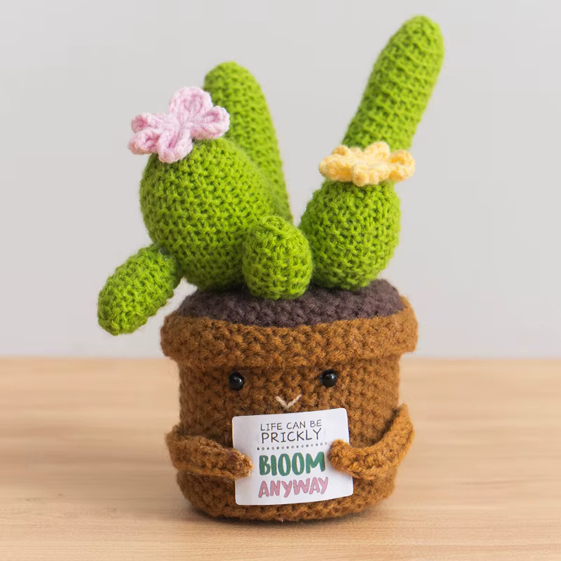 Pot de plantes en Crochet Cactus