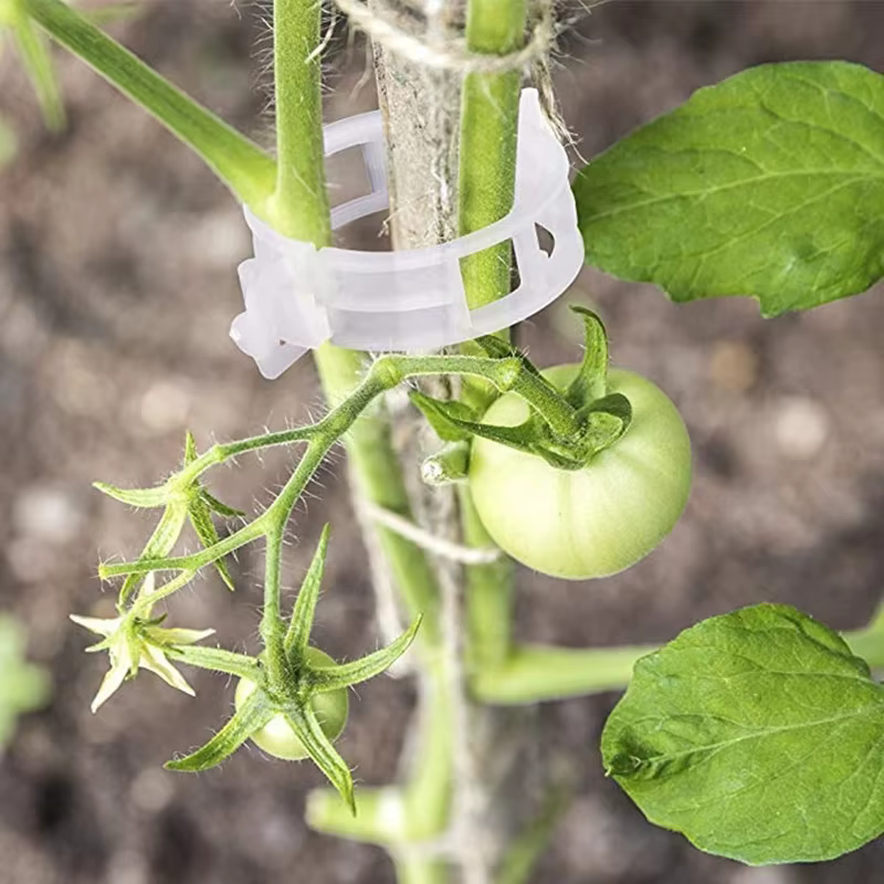 Clips de Support de plante en plastique réutilisables
