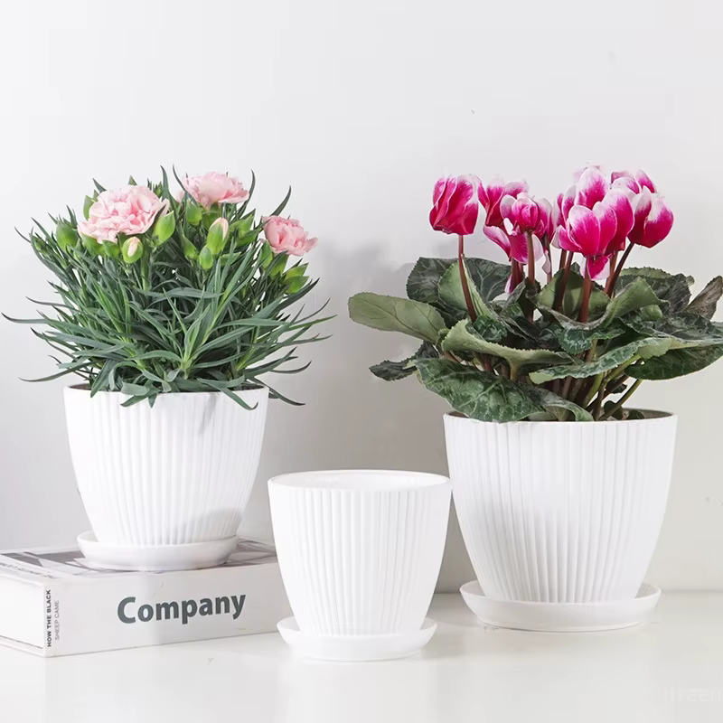 Pots de fleurs en plastique avec plateau