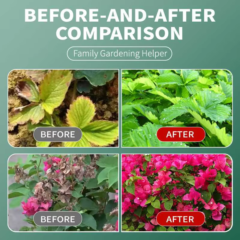 Solution nutritive pour l'enracinement des plantes