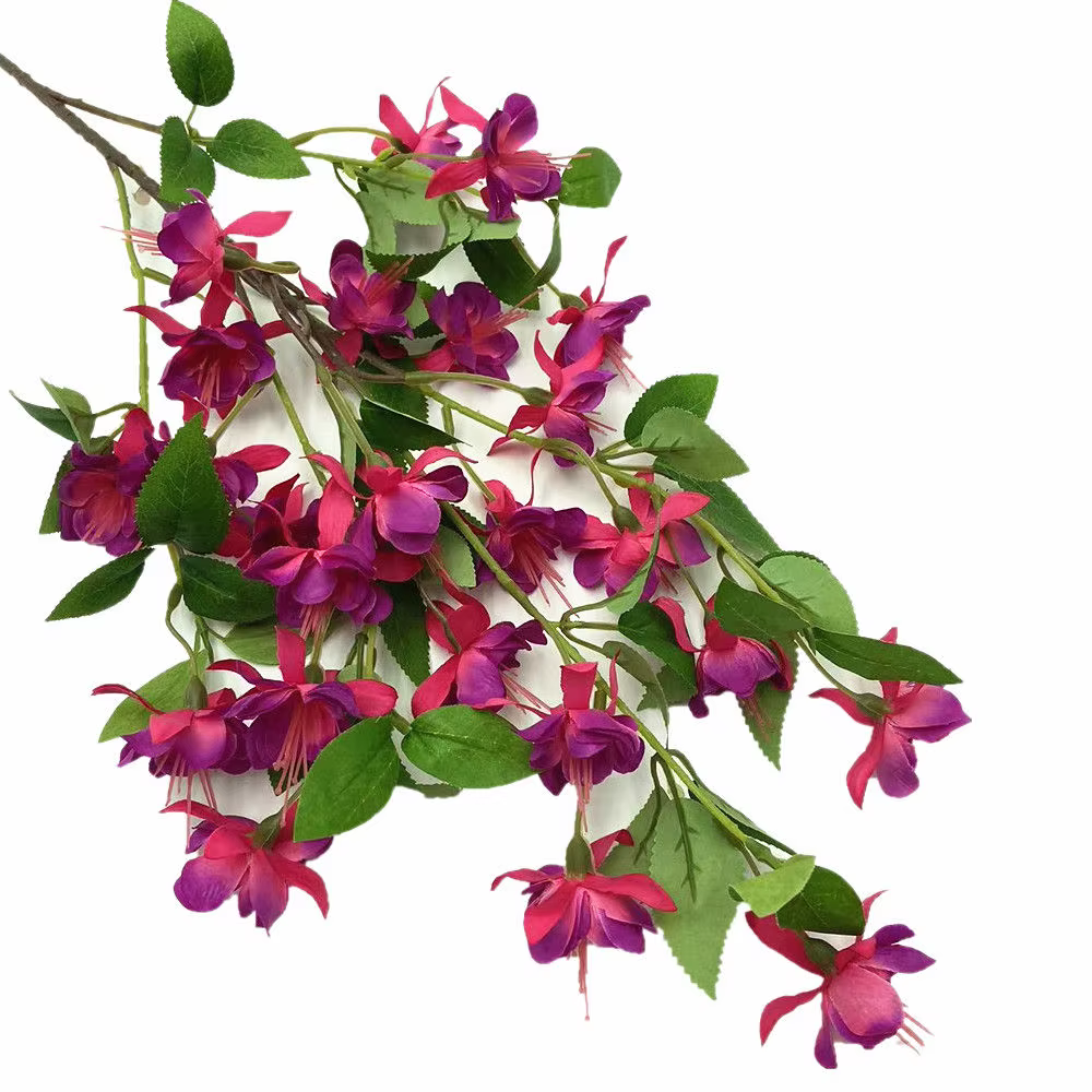 InjForsythia-Fleur de Viridissima Lindl avec Longue Tige