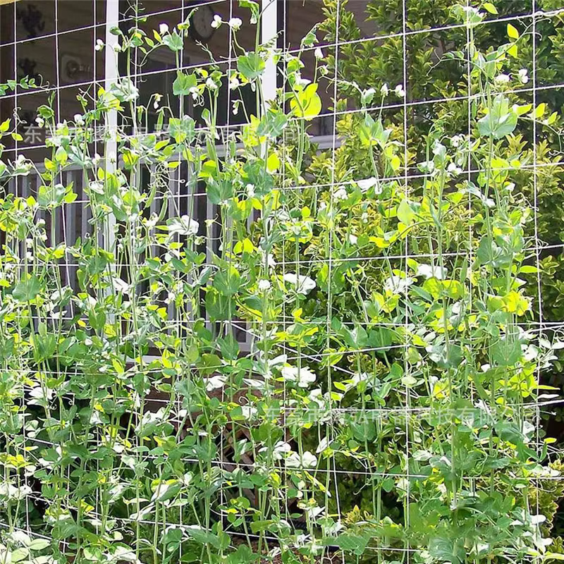 Filet d'escalade en maille pour plantes