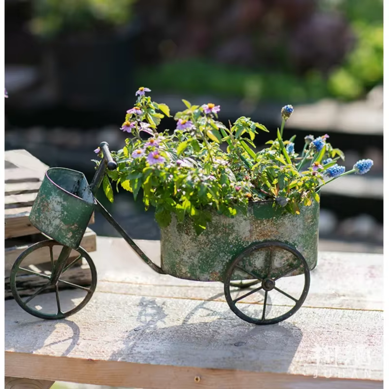 Jardinière de fleurs de vélo Vintage