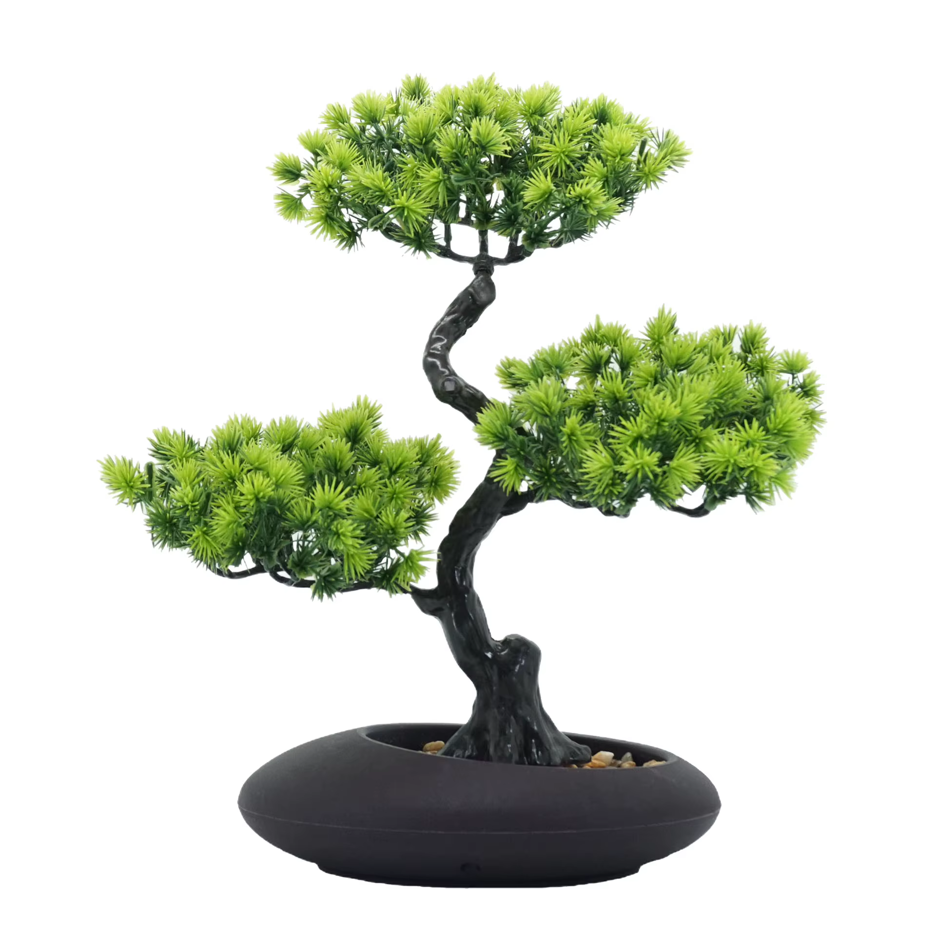 Simulation d'arbres de pin