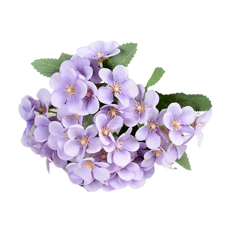 Fausse fleur de pomme, Simulation de bégonite