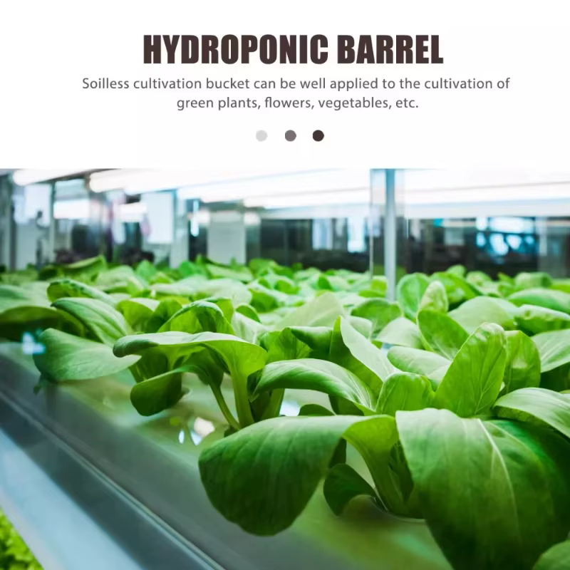 Kit de démarrage de semis hydroponique d'intérieur pour le jardinage sur balcon – Système de culture de légumes et
