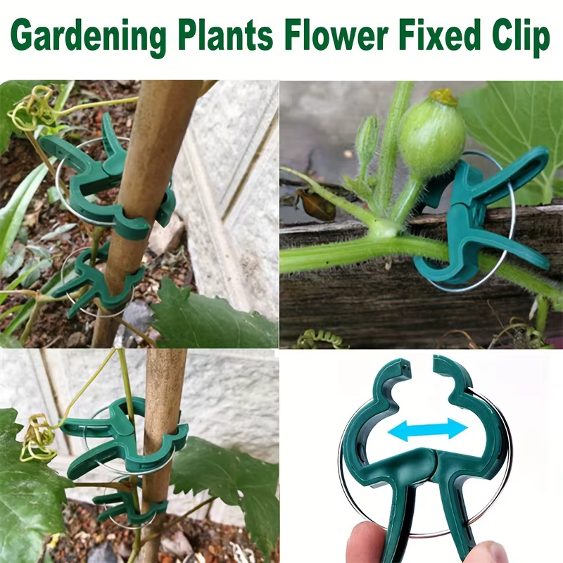 Clips pour plantes grimpantes