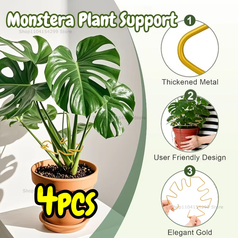 Support robuste pour grande plante Monstera