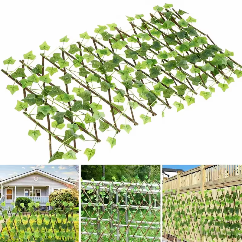 Structure de treillis télescopique en bois pour plantes grimpantes