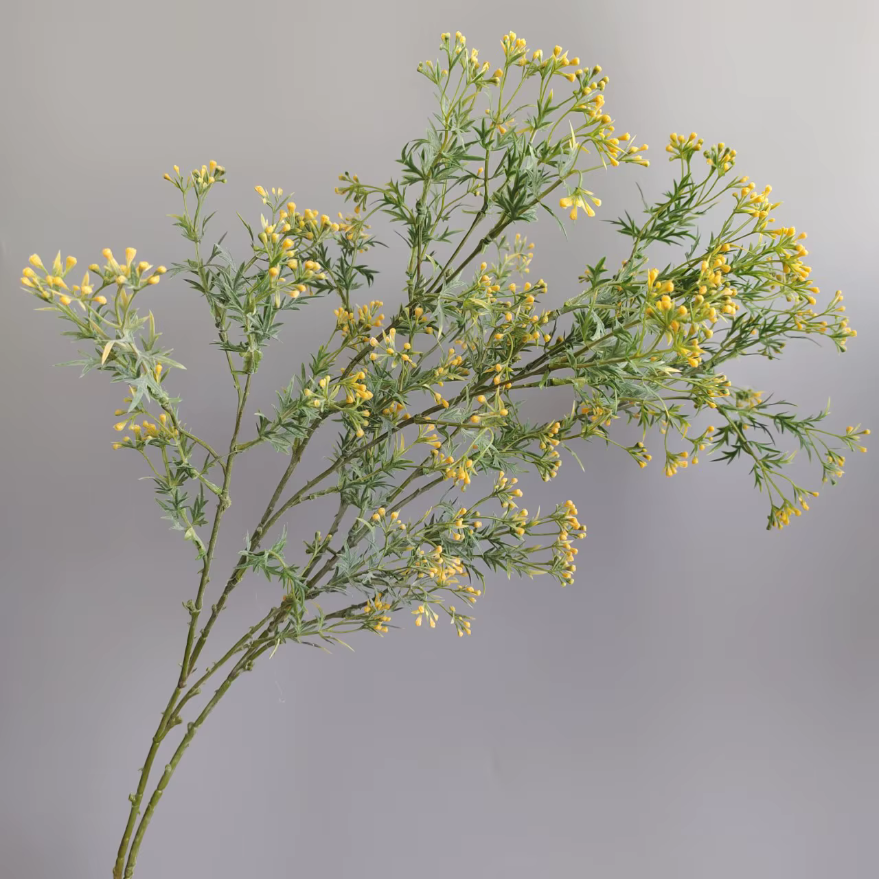 Fleurs artificielles en céleri et gypsophile