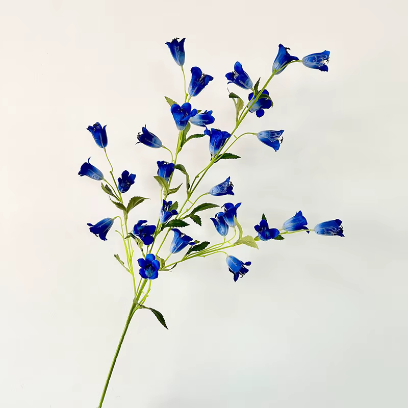 Fleur de lys des prés pour mariage