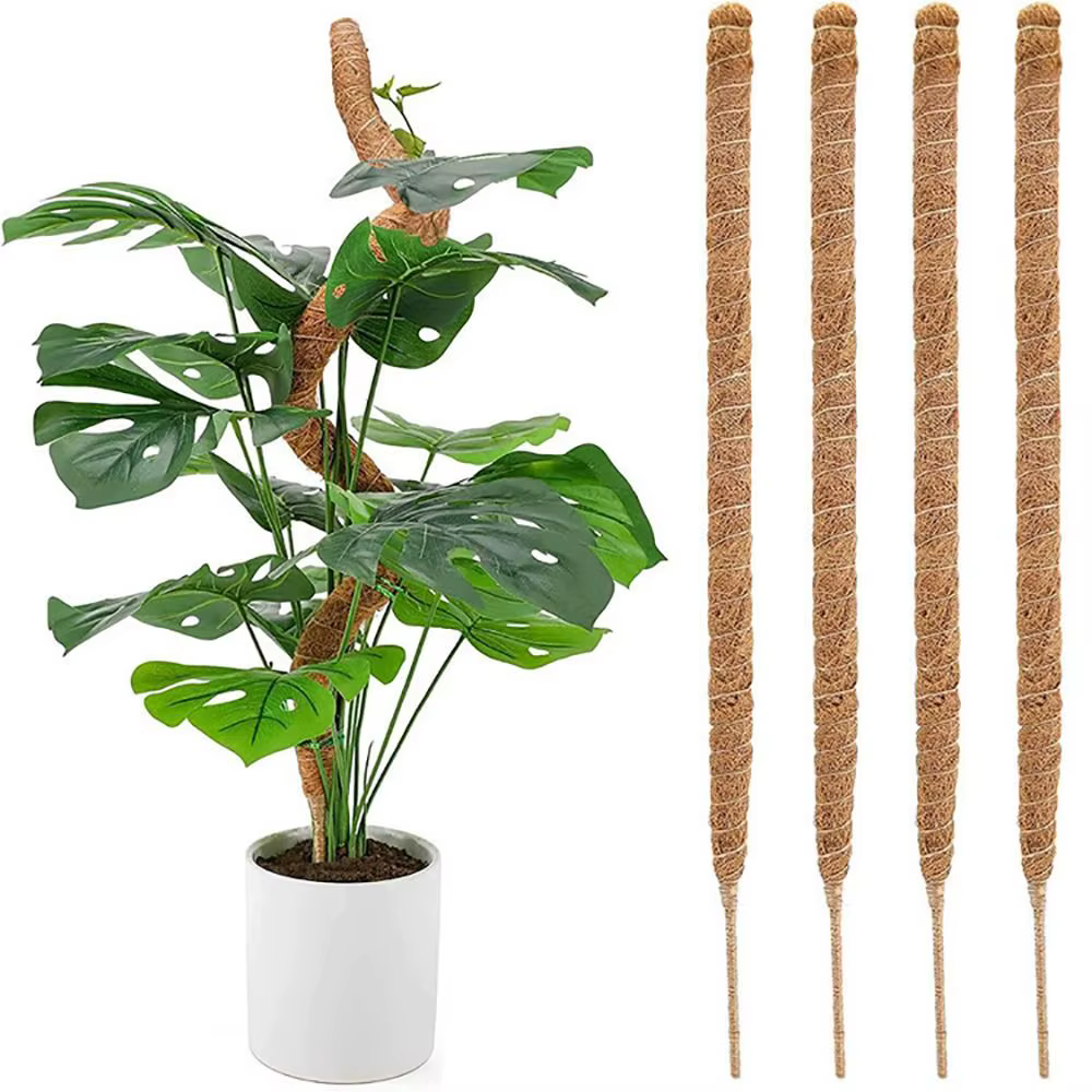 Canne à palmier pliable pour plantes grimpantes